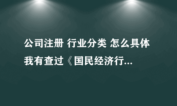 公司注册 行业分类 怎么具体 我有查过《国民经济行业分类》(GBT4754-2011) 想知道有没有更细的分类