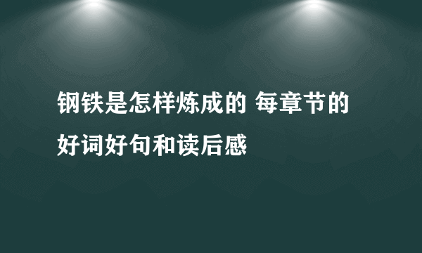 钢铁是怎样炼成的 每章节的好词好句和读后感