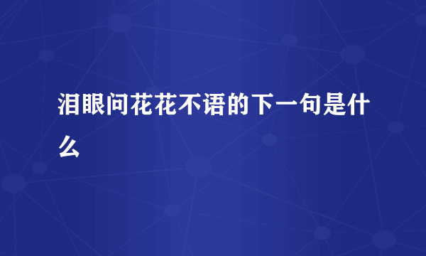 泪眼问花花不语的下一句是什么