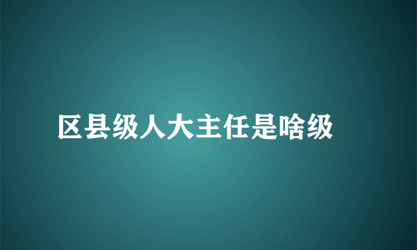 区县级人大主任是啥级別