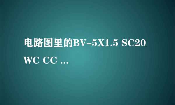 电路图里的BV-5X1.5 SC20 WC CC 是什么意思啊？