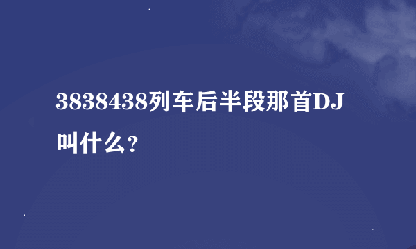 3838438列车后半段那首DJ叫什么？