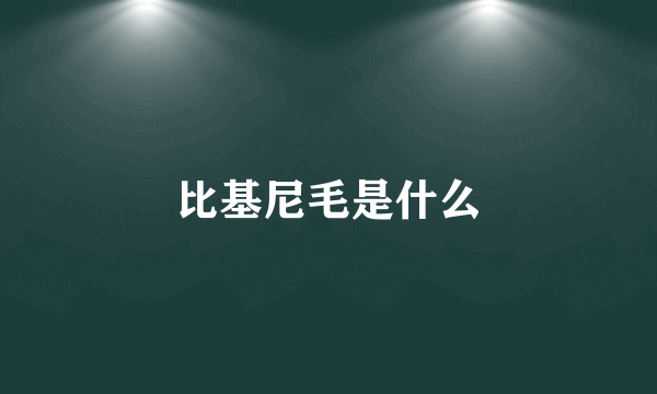 比基尼毛是什么