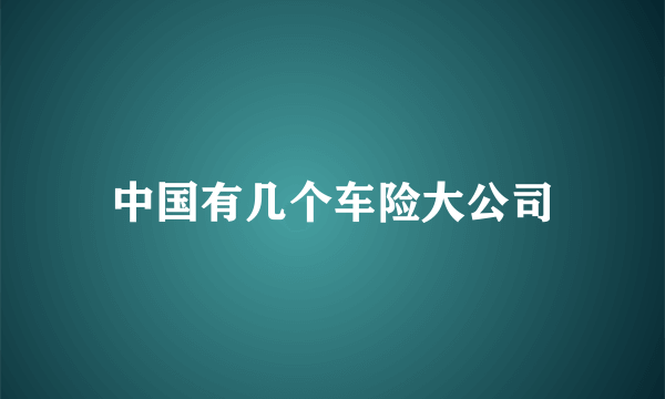 中国有几个车险大公司