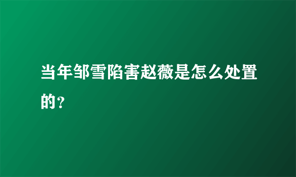 当年邹雪陷害赵薇是怎么处置的？