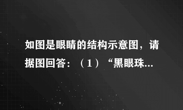 如图是眼睛的结构示意图，请据图回答：（1）“黑眼珠”是指______，而“白眼珠”是指______．（2）长时间