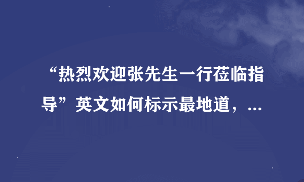 “热烈欢迎张先生一行莅临指导”英文如何标示最地道，谢谢了~~