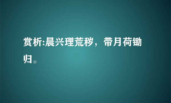 赏析:晨兴理荒秽，带月荷锄归。