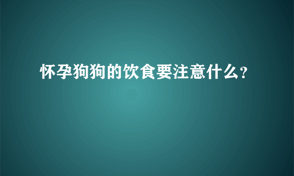 怀孕狗狗的饮食要注意什么？