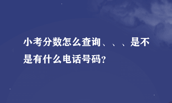 小考分数怎么查询、、、是不是有什么电话号码？