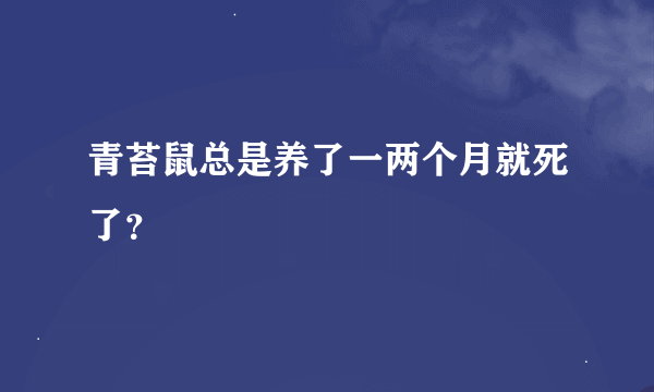 青苔鼠总是养了一两个月就死了？