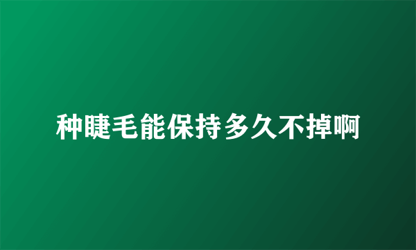 种睫毛能保持多久不掉啊