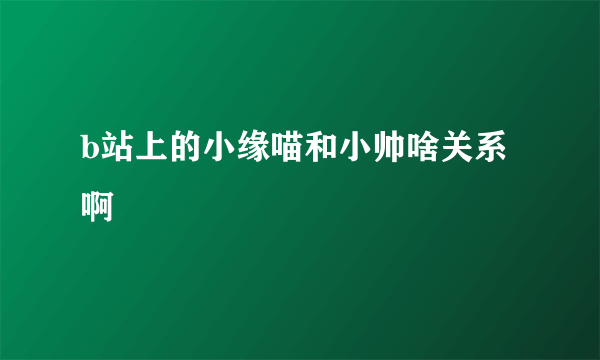 b站上的小缘喵和小帅啥关系啊