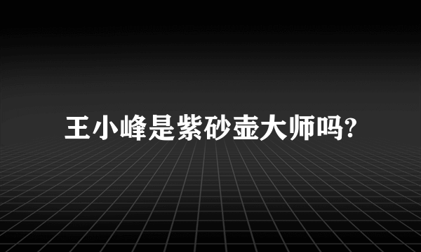 王小峰是紫砂壶大师吗?