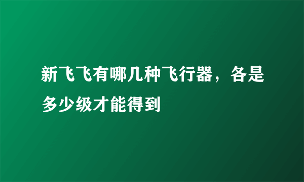 新飞飞有哪几种飞行器，各是多少级才能得到