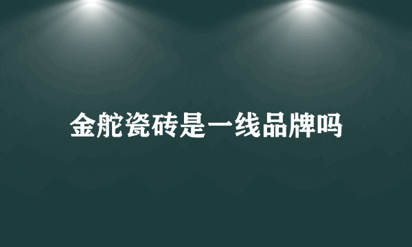 金舵瓷砖是一线品牌吗