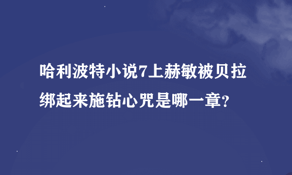 哈利波特小说7上赫敏被贝拉绑起来施钻心咒是哪一章？