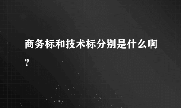 商务标和技术标分别是什么啊？