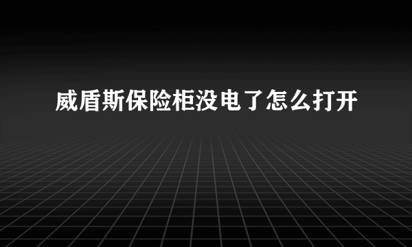 威盾斯保险柜没电了怎么打开