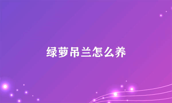 绿萝吊兰怎么养