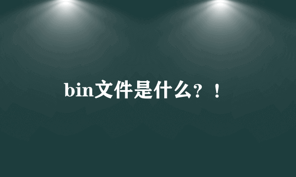 bin文件是什么？！