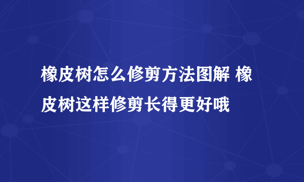 橡皮树怎么修剪方法图解 橡皮树这样修剪长得更好哦