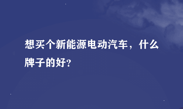 想买个新能源电动汽车，什么牌子的好？