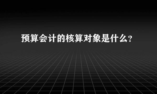 预算会计的核算对象是什么？