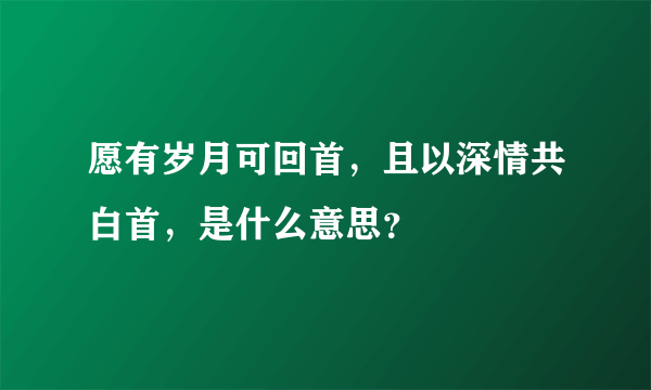 愿有岁月可回首，且以深情共白首，是什么意思？