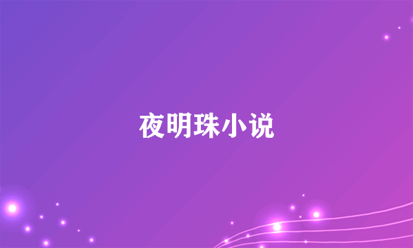 夜明珠小说