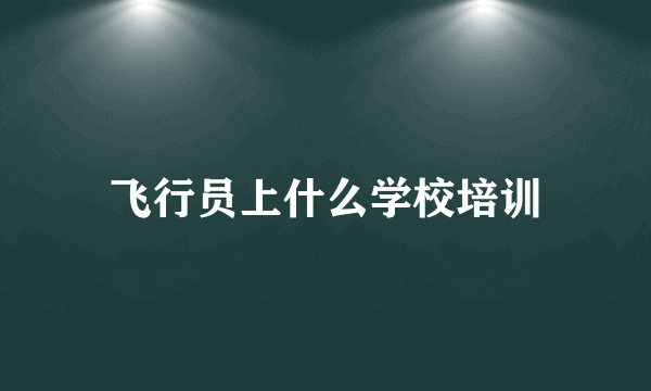 飞行员上什么学校培训