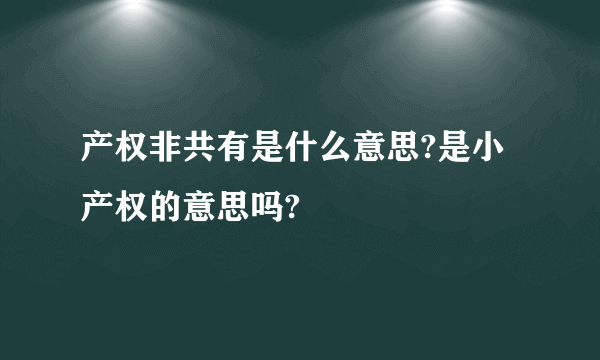 产权非共有是什么意思?是小产权的意思吗?