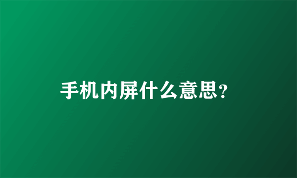 手机内屏什么意思？