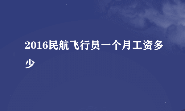 2016民航飞行员一个月工资多少