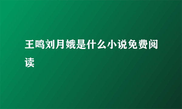 王鸣刘月娥是什么小说免费阅读