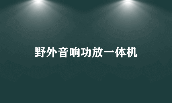 野外音响功放一体机