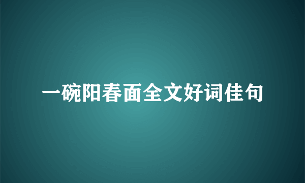 一碗阳春面全文好词佳句