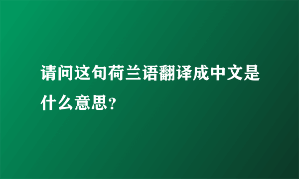 请问这句荷兰语翻译成中文是什么意思？