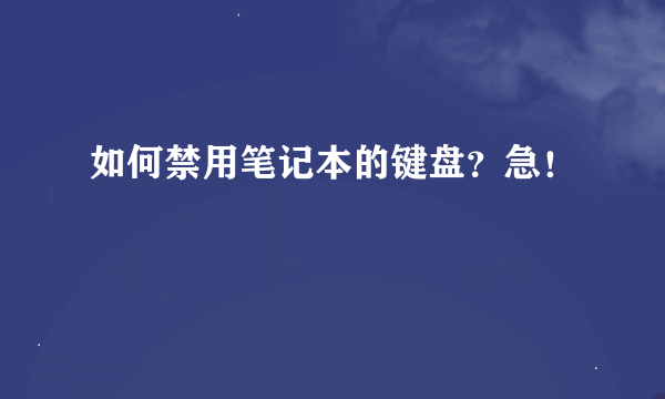 如何禁用笔记本的键盘？急！