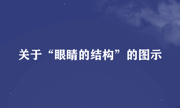 关于“眼睛的结构”的图示