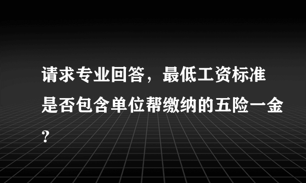 请求专业回答，最低工资标准是否包含单位帮缴纳的五险一金？