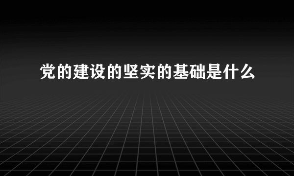 党的建设的坚实的基础是什么