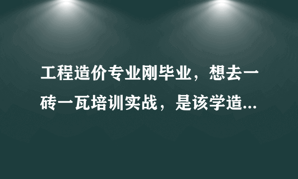 工程造价专业刚毕业，想去一砖一瓦培训实战，是该学造价好还是BIM好？