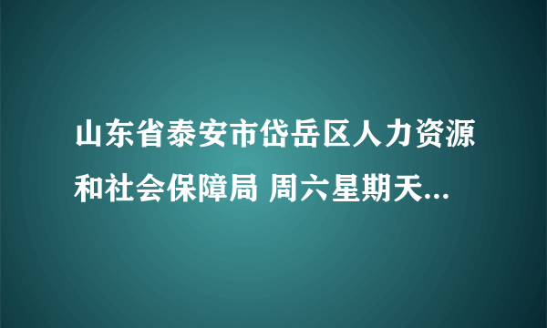 山东省泰安市岱岳区人力资源和社会保障局 周六星期天 上班吗？