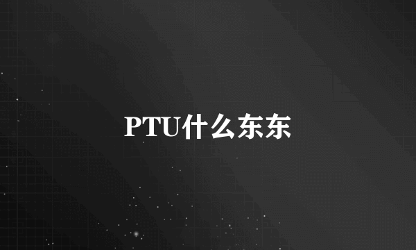 PTU什么东东