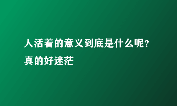 人活着的意义到底是什么呢？真的好迷茫