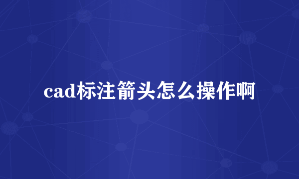 cad标注箭头怎么操作啊