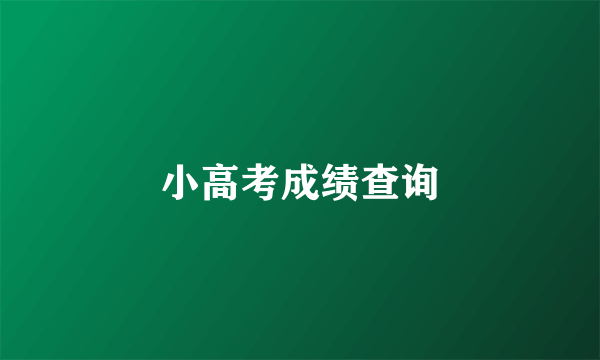 小高考成绩查询