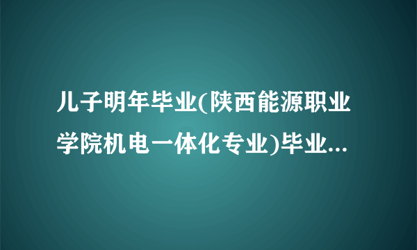 儿子明年毕业(陕西能源职业学院机电一体化专业)毕业后找人能进电厂工作吗？