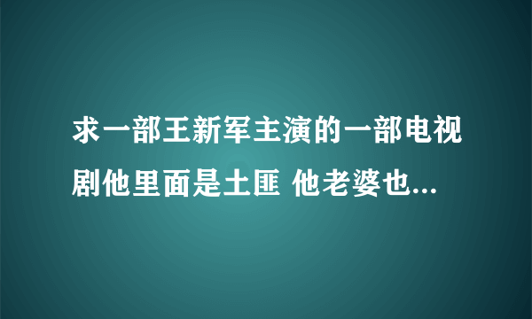 求一部王新军主演的一部电视剧他里面是土匪 他老婆也是还自称为爷